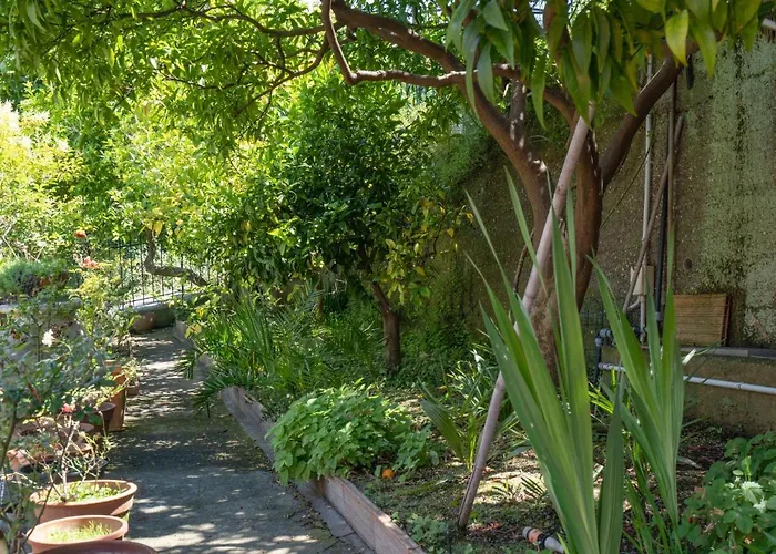 Degli Aranci - Imp385 By Interhome Apartamento *