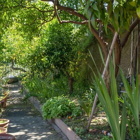 Degli Aranci - Imp385 By Interhome Appartement *